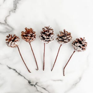 May include: Five brown pinecone picks with faux snow accents. Each pinecone is attached to a thin, brown stem. The pinecones are arranged in a row against a white marble background. Perfect for holiday decor.
