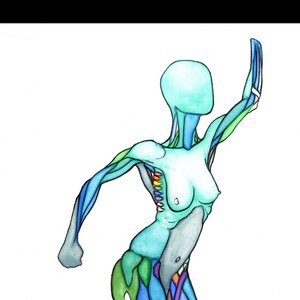 Puede incluir: Una ilustración colorida de la musculatura de una persona, con los músculos resaltados en diferentes colores. La persona se representa en una pose dinámica, con un brazo levantado por encima de la cabeza y el otro brazo doblado en el codo. La ilustración se encuentra sobre un fondo blanco.