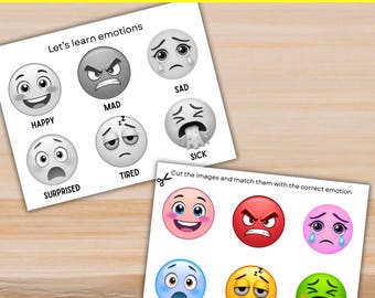Five Sense Shape Matching Binder Worksheets, Toddler Printable Busy Book, Preschool Learning Educational , Quiet Time Fine Motor Skills, PDF