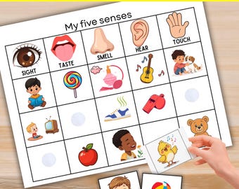 Five Sense Shape Matching Binder Worksheets, Toddler Printable Busy Book, Preschool Learning Educational , Quiet Time Fine Motor Skills, PDF