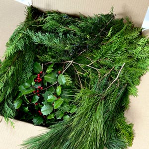 May include: A cardboard box filled with fresh greenery, including evergreen branches, holly with red berries, and pine needles. The arrangement is a mix of textures and shades of green, perfect for holiday decorations or crafts.