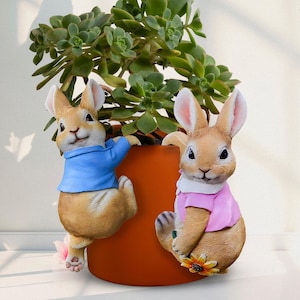 May include: A terracotta plant pot decorated with two rabbit figurines. One rabbit wears a blue jacket, the other a pink jacket. The rabbits are positioned as if climbing the pot, which contains a green succulent plant. A yellow flower is at the base.