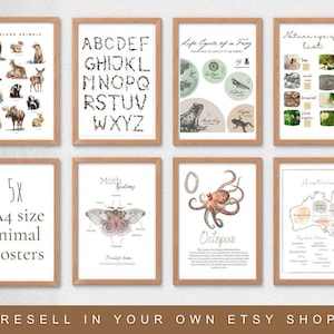 May include: Eight framed A4 size animal posters with wooden frames. The posters feature illustrations of woodland animals, an alphabet, a frog life cycle, a nature eye spy list, moth anatomy, an octopus, and an Australian map.