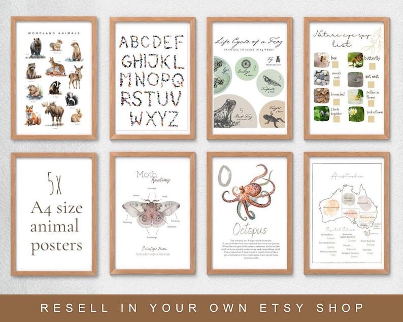 May include: Eight framed A4 size animal posters with wooden frames. The posters feature illustrations of woodland animals, an alphabet, a frog life cycle, a nature eye spy list, moth anatomy, an octopus, and an Australian map.