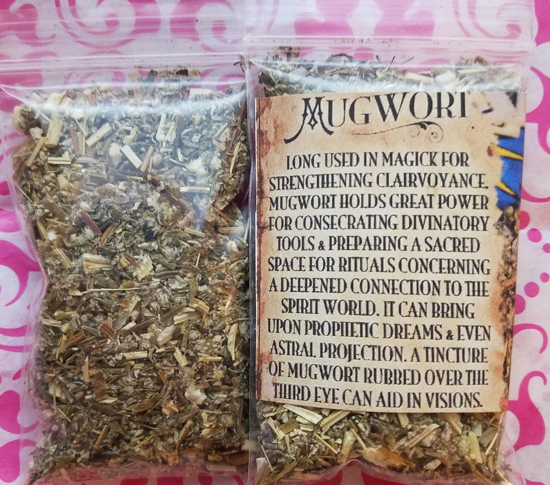 MUGWORT Artemisia Vulgaris Lucid Dreaming PLUS FREE Lemon - Etsy