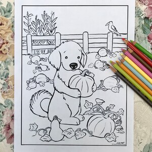May include: A black and white line drawing of a golden retriever puppy holding a pumpkin in a pumpkin patch. The puppy is standing on its hind legs and has a happy expression on its face. There is a bird perched on a fence in the background.