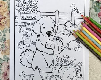 Printable Coloring Page—Cody Picks A Pumpkin, a hand drawn, artist made golden retriever illustration to download, print, and color