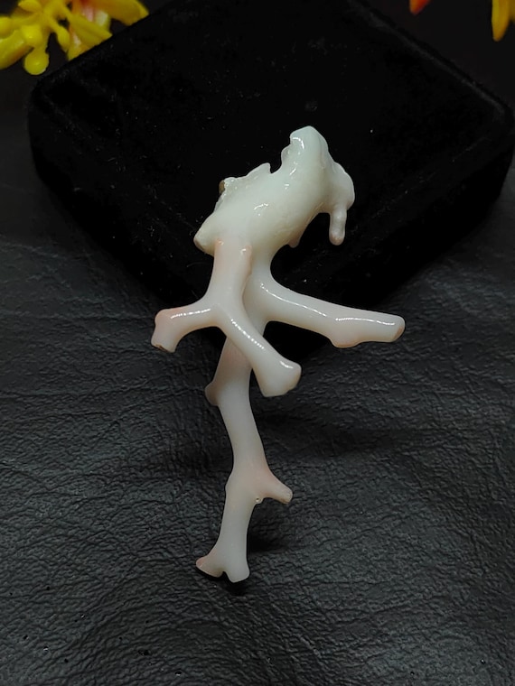 Antique White Coral Branch, Polished Japanese Gemstone, Jewelry Making