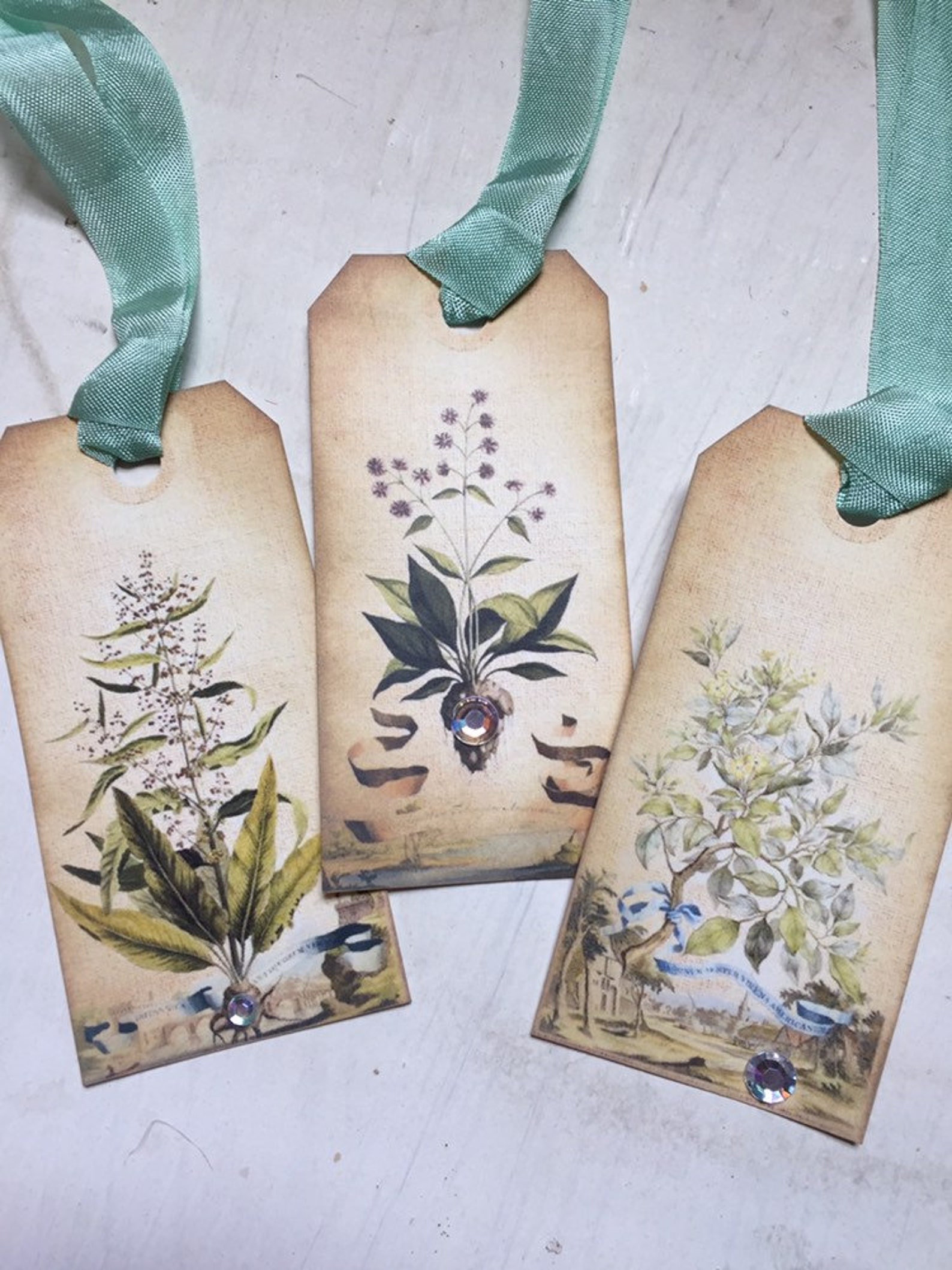 Gift Tags Vintage Botanical Tags Garden Tags Fern Tags Etsy