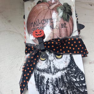 Puede incluir: Un folleto de papel rectangular con una ilustraci&oacute;n de calabaza con el texto HALLOWEEN SURROUNDS ME y un gr&aacute;fico de b&uacute;ho en blanco y negro. El folleto est&aacute; atado con una cinta negra con lunares naranjas y un peque&ntilde;o clip de calabaza naranja.