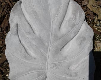 Tremplin Philodendron