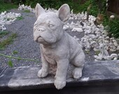 Large French Bulldog Statue