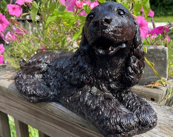 Mahongany Cocker Spaniel