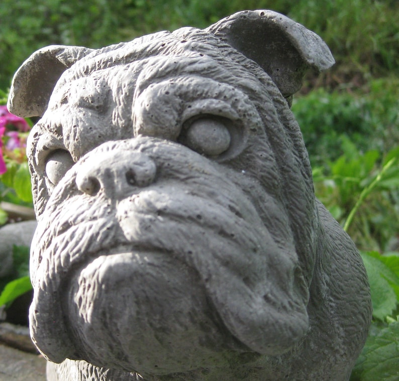 Bulldog Statue Large | Etsy