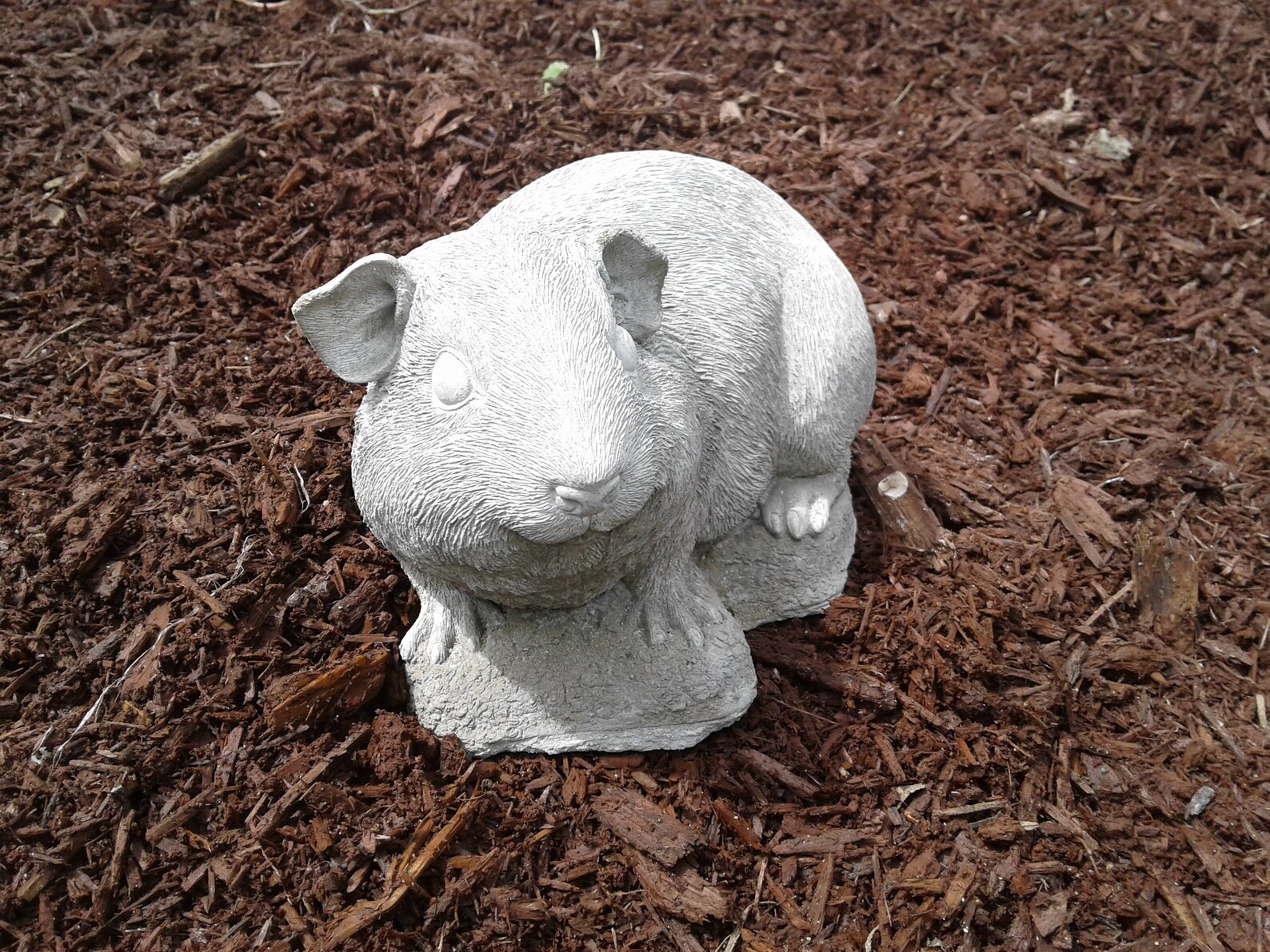 Guinea Pig Statue large New Mold Excellant Detail. Etsy