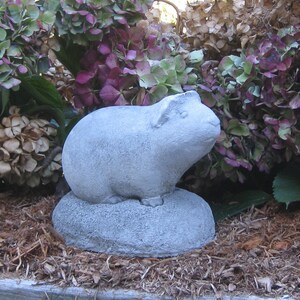 Guinea Pig Statue image 3