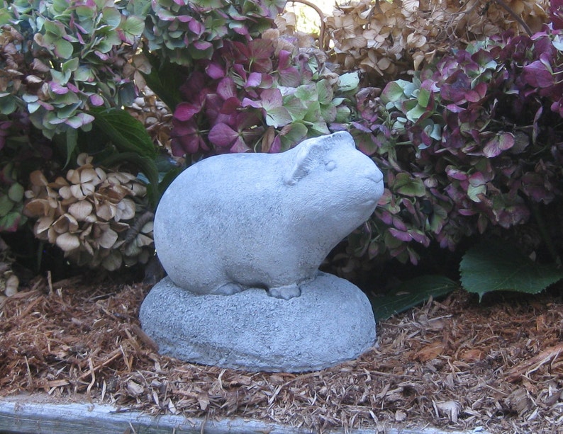 Guinea Pig Statue image 3