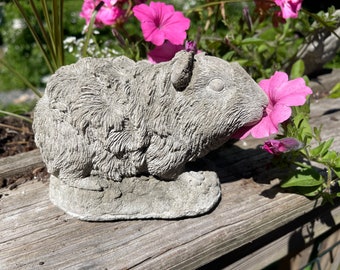 New Lil Guinea Pig Statue (shipping and insurance included)