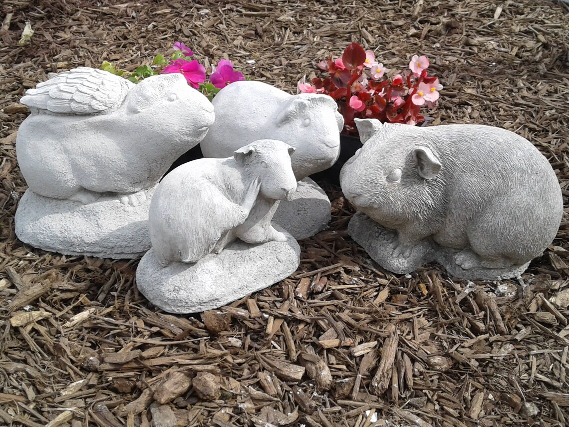 Guinea Pig Statue Etsy
