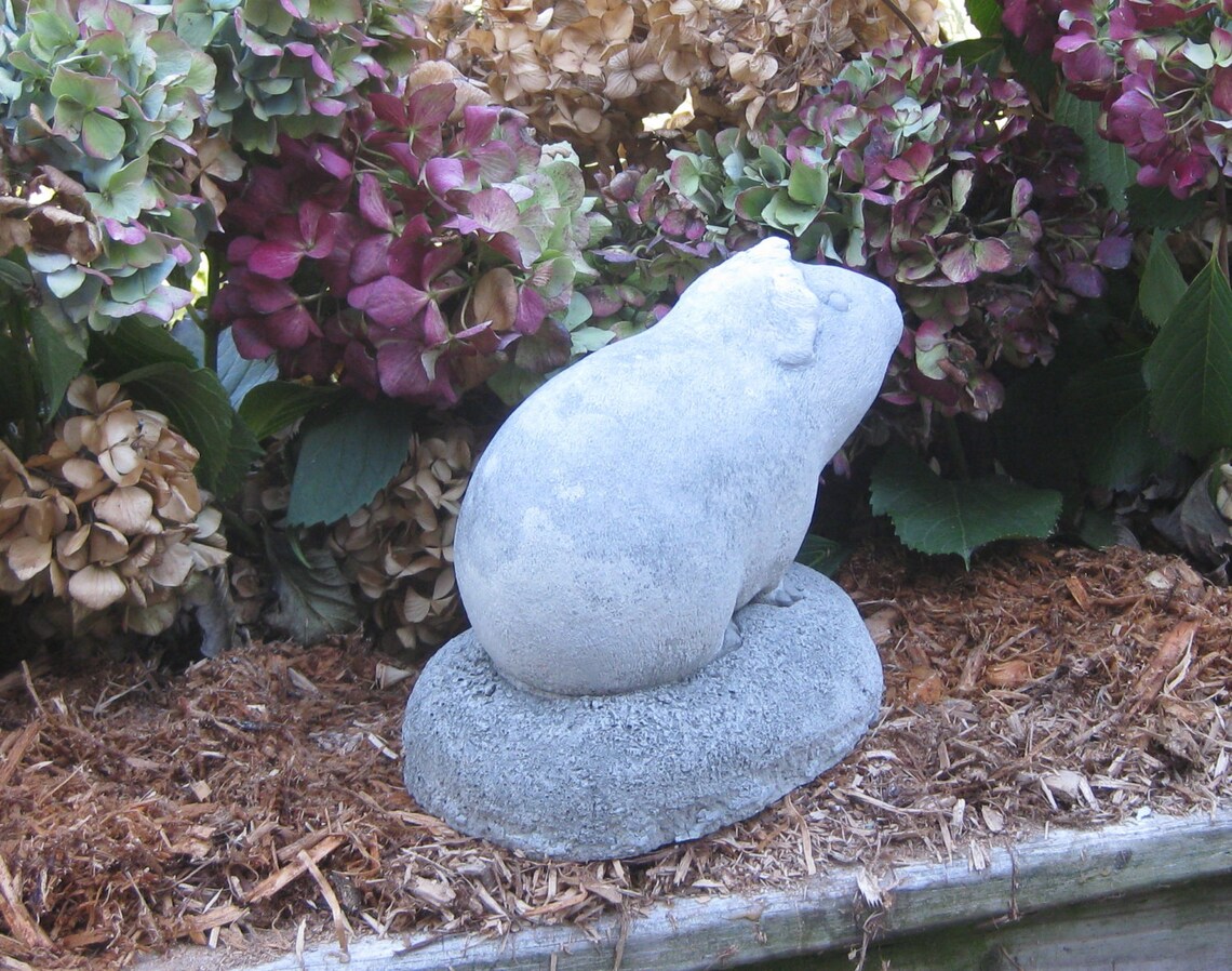 Guinea Pig Statue Etsy