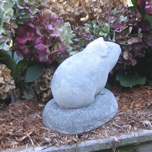 Guinea Pig Statue image 2