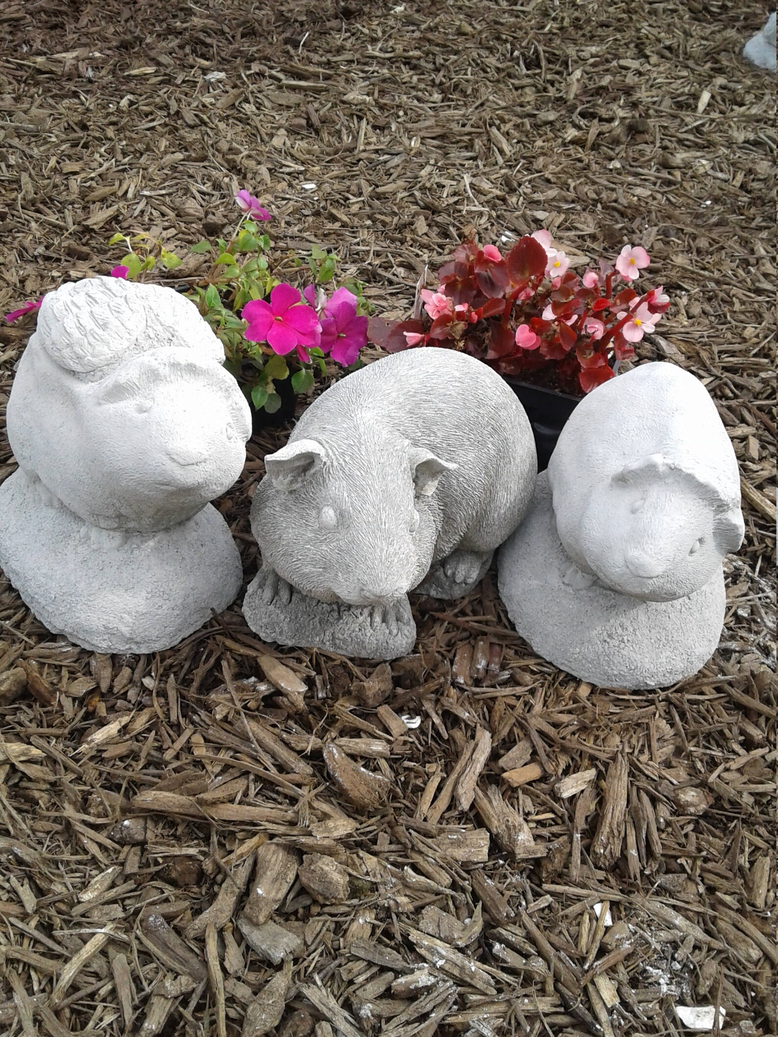 Guinea Pig Statue large New Mold Excellant Detail. Etsy