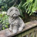 see more listings in the Dog section