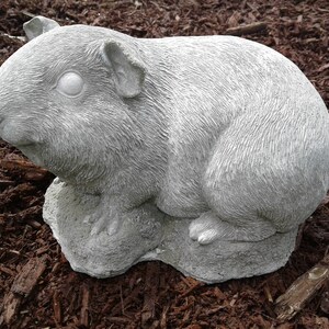 Guinea Pig Statue (Large) new mold excellant detail.