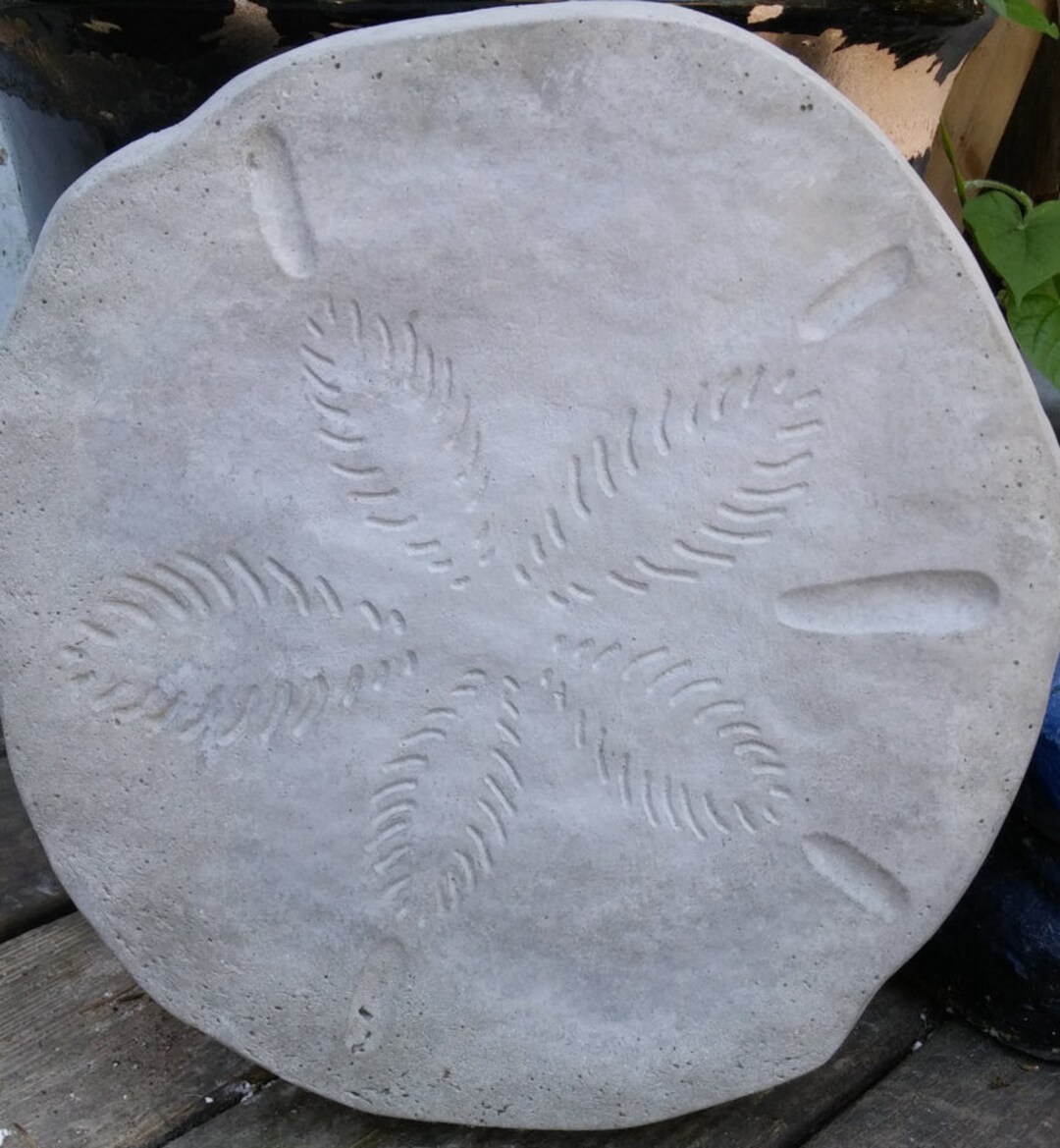 6 Sand Dollar Stepping Stone set of 6 Etsy