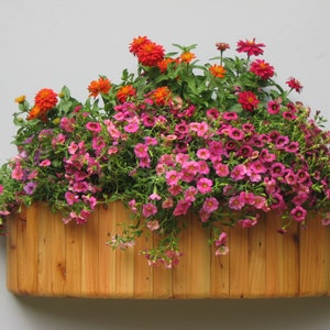Window flower planter