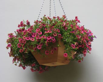2 pack of hanging basket planters