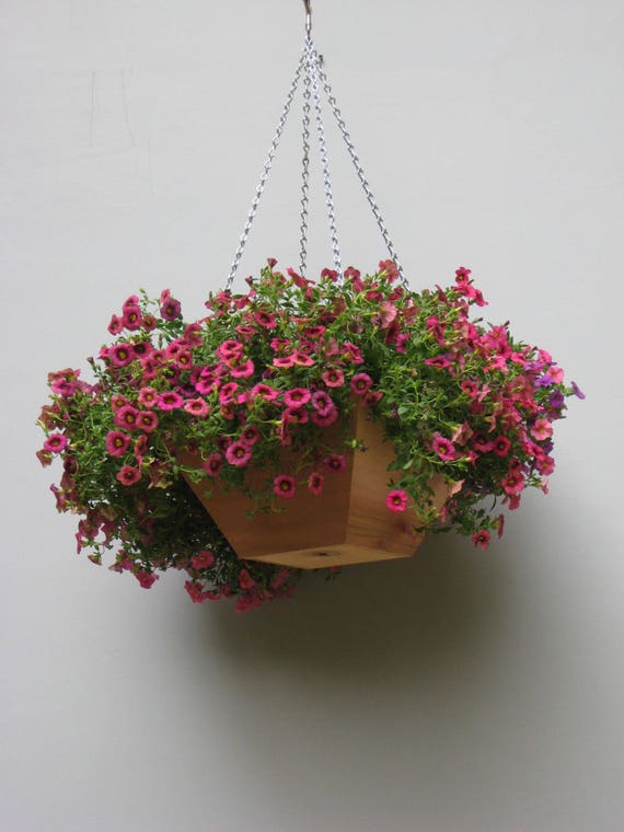 bougainvillea indoor plant 4'7" Bougainvillea Flower On Trellis Silk Plant w/Pot -Beauty (Pack of 2)