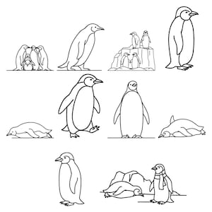 May include: A collection of black and white line art illustrations featuring various penguins in different poses. The set includes individual penguins standing, walking, and lying down, as well as small groups of penguins gathered together on ice.