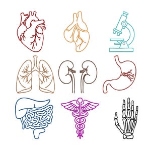 Puede incluir: Ilustración de varios órganos humanos, incluyendo un corazón, pulmones, riñones, estómago, hígado, intestinos y un esqueleto de mano. También se incluye un microscopio y un símbolo de caduceo. Los órganos están delineados en diferentes colores.