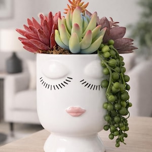 Sweet Face Lady Planter with Faux Succulent Arrangement | Smiling Planter Pot | Happy Face Planter |  Succulent Planter Pot | Celfie Pot