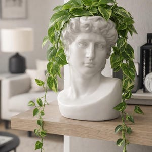 May include: A white ceramic bust of a classical figure, used as a planter. Green and yellow pothos plant spills over the head and down the sides. The planter sits on a light wood shelf, with a blurred background.