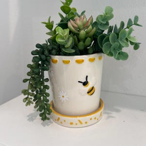 May include: A ceramic flower pot with a bee design, filled with green and pink succulents. The pot is cream-colored with yellow accents and a matching saucer. The pot has a daisy pattern and a cartoon bee.