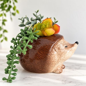 May include: A brown and beige ceramic hedgehog-shaped planter featuring a glossy finish, a pointed snout with a black nose, and small ears. The planter contains a faux succulent plant with green leaves and orange-tipped petals.