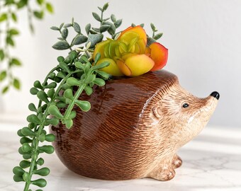 May include: A brown and beige ceramic hedgehog-shaped planter featuring a glossy finish, a pointed snout with a black nose, and small ears. The planter contains a faux succulent plant with green leaves and orange-tipped petals.