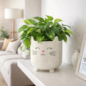 May include: A white ceramic cat-shaped planter with a smiling face, holding a vibrant green plant. The planter has small feet and black whiskers. The plant has green and yellow leaves. The planter is on a white surface.