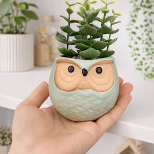 May include: A small, light green owl-shaped ceramic planter with a succulent plant. The owl has tan-colored eyes and a beak, with black pupils. The planter is held in a hand, with other plants visible in the background.