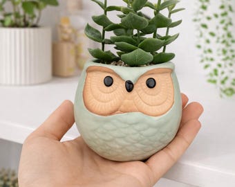 Mini Blue Ceramic Owl Planter – Retro Owl Pot | Succulent Planter | Bird Lover Planter | Owl Pot | Mother's Day Gift