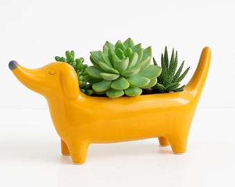 Dachshund Planter – Wiener Dog Lover Gift | Unique Succulent Planter | Novelty Dog Pot for Indoor Plants | Mother's Day Gift