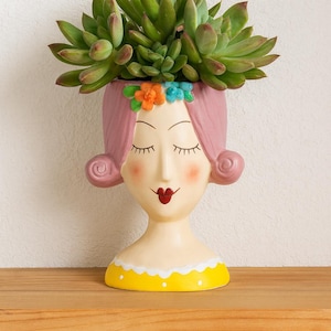 May include: A decorative planter shaped like a woman's face, with pink hair and a yellow collar. The planter is filled with a green succulent plant. The face has closed eyes, rosy cheeks, and red lips. The planter is on a wooden shelf.