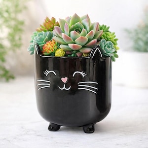 May include: A black ceramic cat-shaped planter filled with a variety of succulents. The planter has a smiling cat face design with white details and a pink heart nose. The succulents display shades of green, red, and yellow.