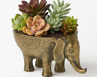 Gold Metal Elephant Planter | Succulent Planter | Elephant Planter Pot | Mother's Day Gift