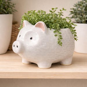 May include: A white ceramic pig planter with a textured surface, pink-lined ears, and black eyes. The planter is filled with green leafy plants. The planter is on a wooden shelf, with other white planters in the background.