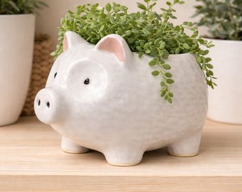 Pig Planter | Whimsical Animal Pot | Cute Ceramic Pig Pot | Succulent & Cactus Planter | Unique Gift | Mother's Day Gift