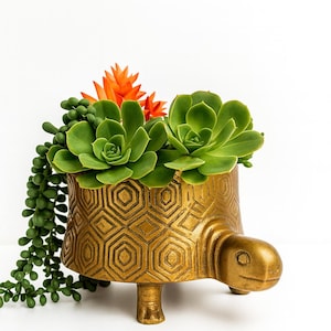 May include: A gold-colored turtle-shaped planter with a geometric pattern. The planter holds green succulents and an orange flower. The turtle has a head, legs, and a textured shell. The background is white.