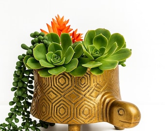 Gold Metal Turtle Planter | Succulent Planter | Turtle Planter Pot | Mother's Day Gift